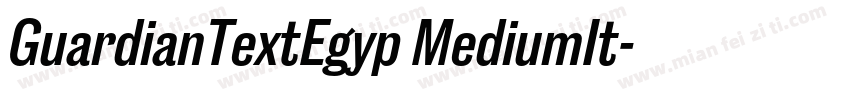 GuardianTextEgyp MediumIt字体转换